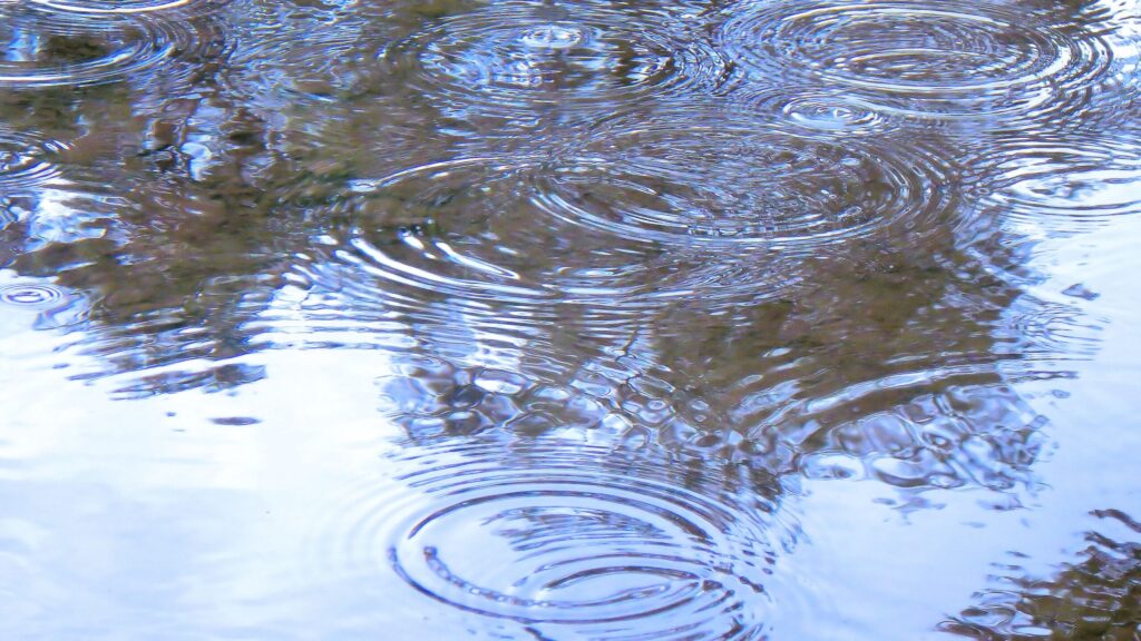 水たまりのできた庭
